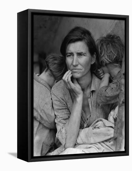 "Migrant Mother" Pea Picker in California Photograph - Nipomo, CA-Lantern Press-Framed Stretched Canvas