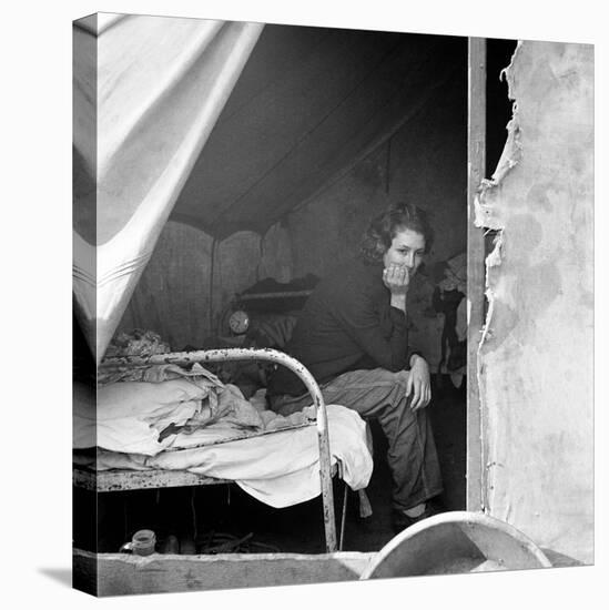 Migrant Worker, 1936-Dorothea Lange-Stretched Canvas