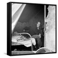 Migrant Worker, 1936-Dorothea Lange-Framed Stretched Canvas
