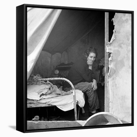 Migrant Worker, 1936-Dorothea Lange-Framed Stretched Canvas