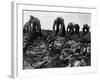 Migrant Workers, 1935-Dorothea Lange-Framed Giclee Print