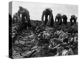 Migrant Workers, 1935-Dorothea Lange-Stretched Canvas