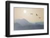 Migrating Cranes to the Sun over the Mountains-Protasov AN-Framed Photographic Print
