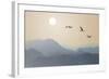 Migrating Cranes to the Sun over the Mountains-Protasov AN-Framed Photographic Print