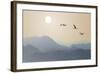 Migrating Cranes to the Sun over the Mountains-Protasov AN-Framed Photographic Print