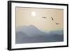 Migrating Cranes to the Sun over the Mountains-Protasov AN-Framed Photographic Print