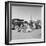 Migrating families camp by the road on their way to California, 1937-Dorothea Lange-Framed Photographic Print