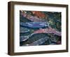 Migrating Salmon, Washington, USA-William Sutton-Framed Photographic Print