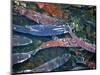 Migrating Salmon, Washington, USA-William Sutton-Mounted Photographic Print