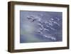 Migration flight, Canada geese-Ken Archer-Framed Photographic Print