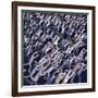 Migration no.2, 2005-Evelyn Williams-Framed Giclee Print