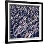 Migration no.2, 2005-Evelyn Williams-Framed Giclee Print