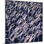 Migration no.2, 2005-Evelyn Williams-Mounted Giclee Print