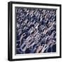 Migration no.2, 2005-Evelyn Williams-Framed Giclee Print