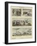 Migration of Animals-null-Framed Giclee Print