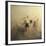 Migration Of Horses-Huseyin Ta?k?n-Framed Giclee Print