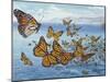 Migration of Monarch Butterflies (Danaus Plexippus), Nymphalidae-null-Mounted Giclee Print