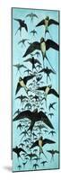 Migration of Swallows-Arthur Oxenham-Mounted Premium Giclee Print