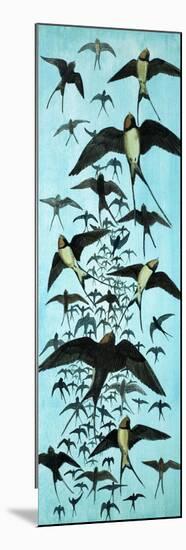 Migration of Swallows-Arthur Oxenham-Mounted Premium Giclee Print