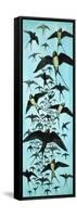 Migration of Swallows-Arthur Oxenham-Framed Stretched Canvas