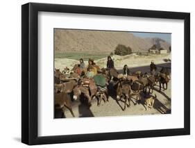 Migration of the Qashgai Tribe, Iran, Middle East-Sybil Sassoon-Framed Photographic Print