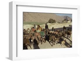 Migration of the Qashgai Tribe, Iran, Middle East-Sybil Sassoon-Framed Photographic Print