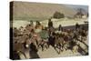 Migration of the Qashgai Tribe, Iran, Middle East-Sybil Sassoon-Stretched Canvas