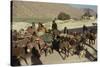 Migration of the Qashgai Tribe, Iran, Middle East-Sybil Sassoon-Stretched Canvas