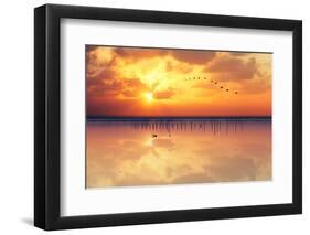 Migration-Marco Carmassi-Framed Photographic Print