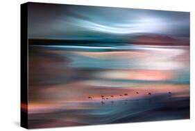 Migrations - Blue Sky-Ursula Abresch-Stretched Canvas