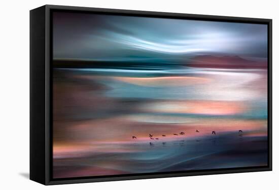 Migrations - Blue Sky-Ursula Abresch-Framed Stretched Canvas