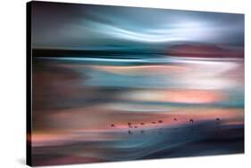 Migrations - Blue Sky-Ursula Abresch-Stretched Canvas