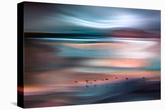 Migrations - Blue Sky-Ursula Abresch-Stretched Canvas