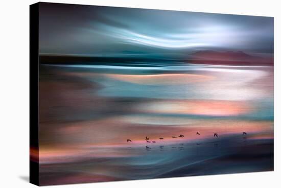 Migrations - Blue Sky-Ursula Abresch-Stretched Canvas