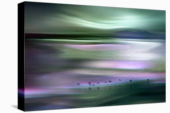 Migrations - Green Sky-Ursula Abresch-Stretched Canvas