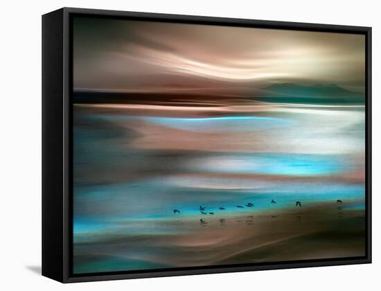 Migrations-Ursula Abresch-Framed Stretched Canvas