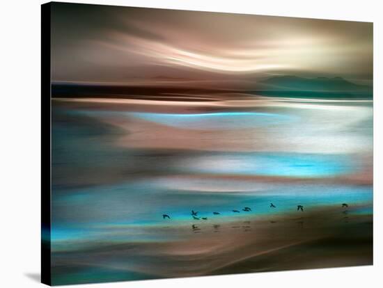 Migrations-Ursula Abresch-Stretched Canvas