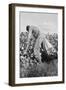 Migratory Field Worker Picking Cotton-Dorothea Lange-Framed Art Print
