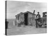 Migratory Mexican Field Worker's Home, Imperial Valley, California, c.1937-Dorothea Lange-Stretched Canvas