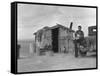 Migratory Mexican Field Worker's Home, Imperial Valley, California, c.1937-Dorothea Lange-Framed Stretched Canvas