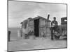 Migratory Mexican Field Worker's Home, Imperial Valley, California, c.1937-Dorothea Lange-Mounted Photo