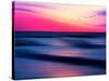 Migratory-Josh Adamski-Stretched Canvas