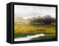 Canvas Black