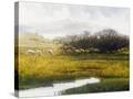 Stretched Canvas
