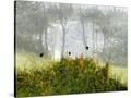 Stretched Canvas
