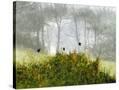 Stretched Canvas