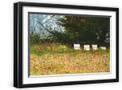 Black Frame