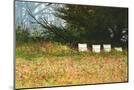 Wood Mount