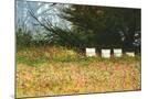 Wood Mount