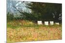 Wood Mount
